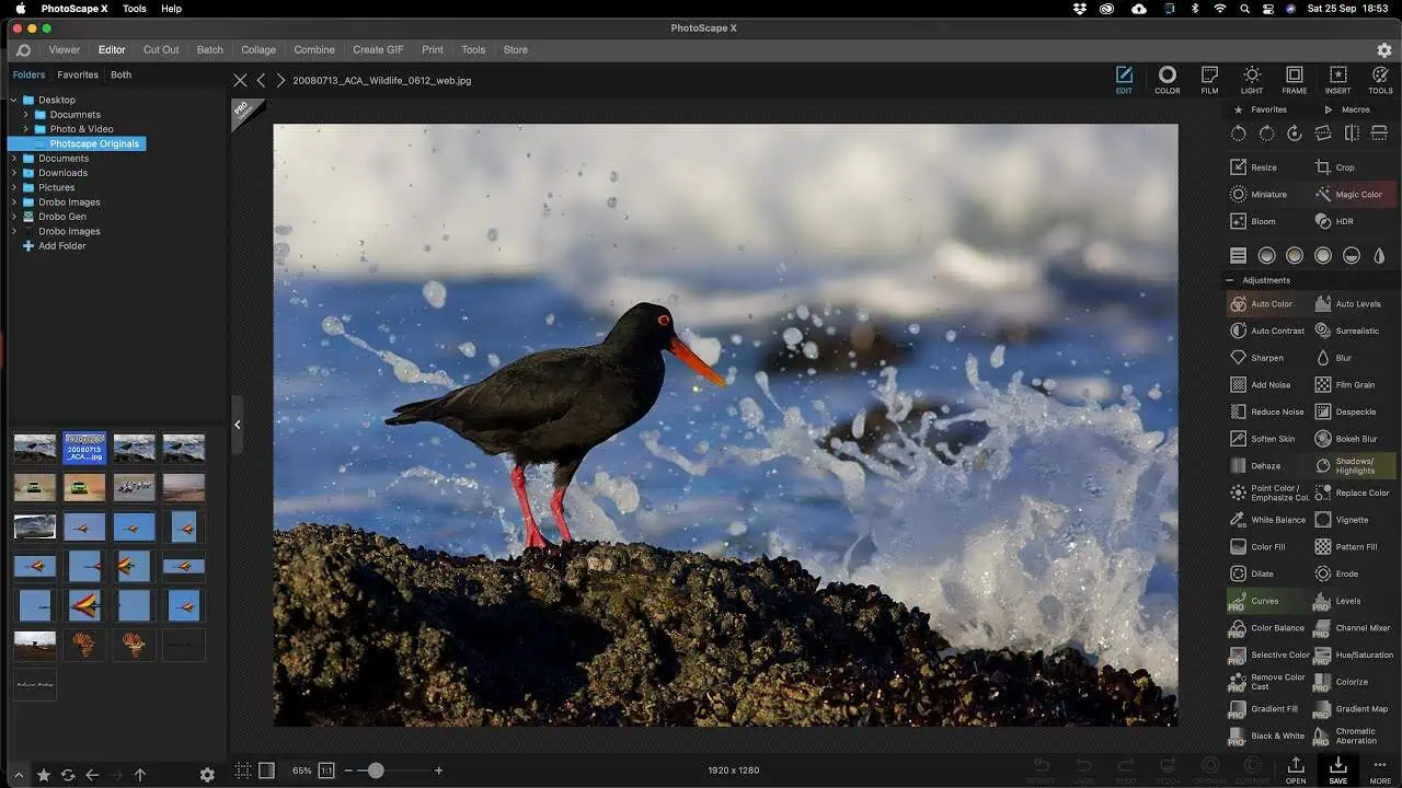تحميل برنامج فوتوسكيب PhotoScape لتركيب وتعديل الصور 2025