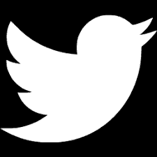 تحميل تويتر بلس Twitter Plus مهكر 2025 أخر إصدار APK مجاناً